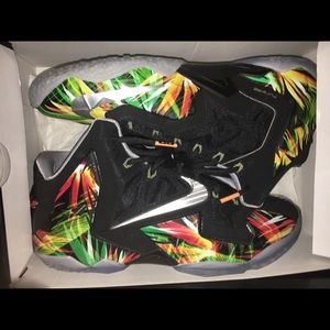 Lebron 11 Everglades